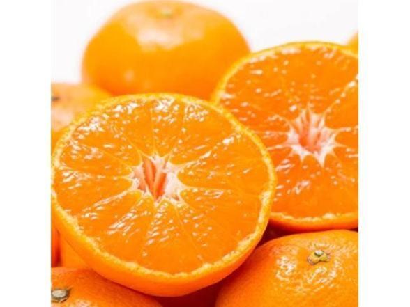 فندق ريوجو Nishio المظهر الخارجي الصورة